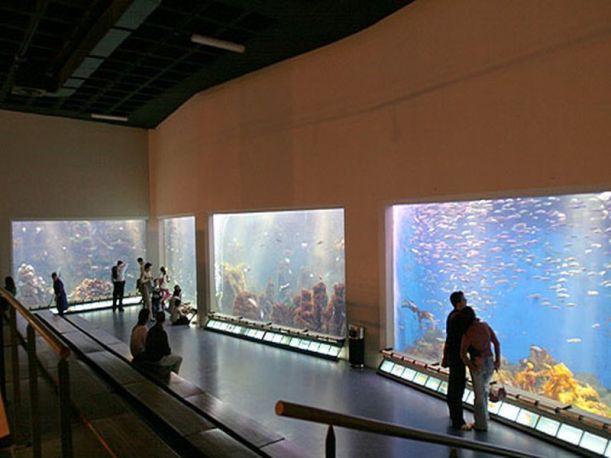 La Coruña - Aquarium Finisterrae 02